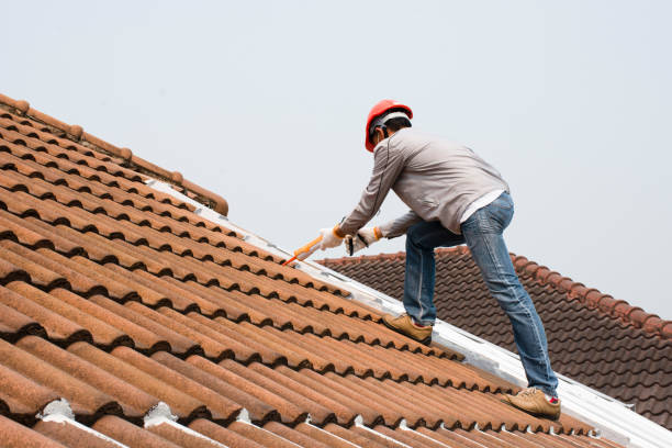 Best Roof Ventilation Installation  in Pleasant Hill, MO